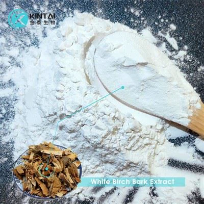 Sliocht Coirt Beithe Bán